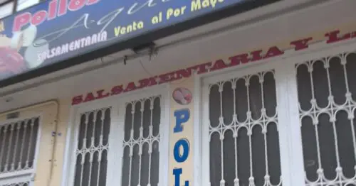 POLLOS Y HUEVOS AQUILES POLLOS Y HUEVOS AQUILES